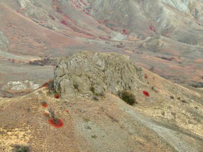 Прикрепленное изображение: DSCF6051.jpg